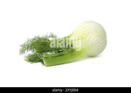 Ganze Fenchelzwiebeln überwiegend hellgelb, mit kontrastierenden Grüntönen an den Stielen und gefiederten Blättern isoliert auf weißem Hintergrund Stockfoto