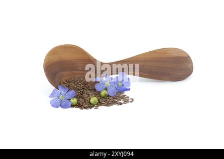 Holzlöffel gefüllt mit kleinen braunen Leinsamen und einer blauen Leinpflanze blüht neben Leinsamen-Früchten runde Kapseln isoliert auf weißem Hintergrund Stockfoto