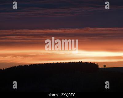 Der Sonnenuntergang hinter einem Wald leuchtet orange und lila Stockfoto