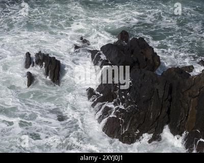 Surfen Sie auf den Klippen des Coastal National Park in Pembrokeshire, Wales, Großbritannien, Europa Stockfoto