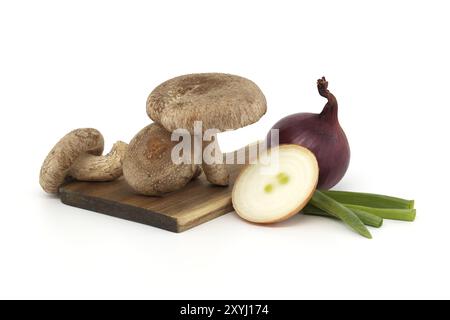 Shiitake-Pilze und verschiedene Zwiebeln auf einem Holzschneidebrett isoliert auf weißem Hintergrund. Rezepte und Heilkräuter Stockfoto