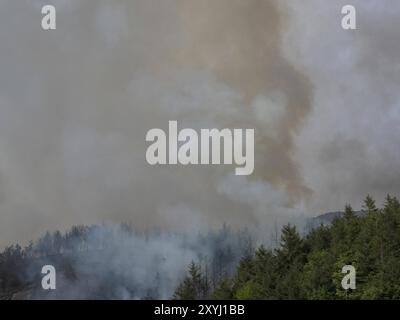 Ein Waldbrand an einem Berghang in Norwegen Stockfoto