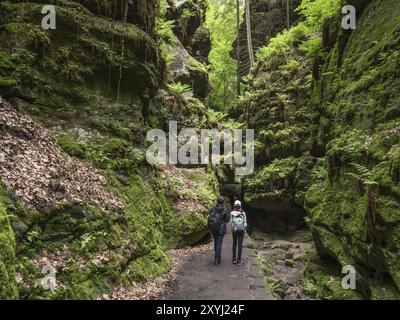 Zwei Wanderer laufen in Richtung des Felsentors im Uttewalder Grund, einer Sandsteinschlucht in der Sächsischen Schweiz in Deutschland Stockfoto