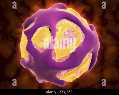 Das konzeptionelle Bild des Dengue-Virus. Das Dengue-Virus ist ein durch Mücken übertragenes RNA-Virus, das Dengue-Fieber verursacht Stockfoto