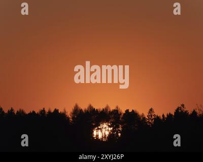 Der Sonnenuntergang hinter einem Wald leuchtet orange Stockfoto