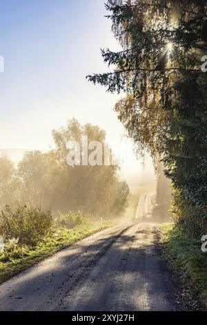 Leere Feldstraße mit strahlender Sonne, die im Herbst durch die Laubbäume in einer wunderschönen Landschaft strahlt Stockfoto