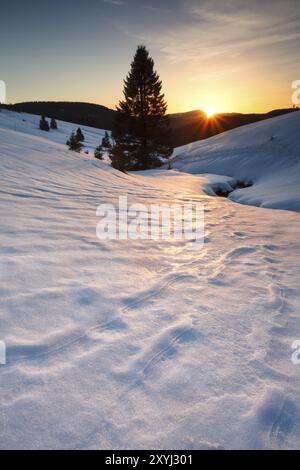 Sonnenuntergang über Bergwiesen im Schnee, Todtnauberg, Deutschland, Europa Stockfoto