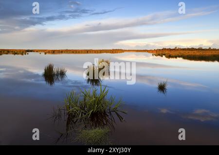 Wunderschöne Reflexionen im See nahe Leekstermeer in Drenthe kurz nach Sonnenaufgang Stockfoto