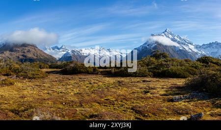 Key Summit Trail auf dem Routeburn Track im Milford Sound, Fjordland National Park. Stockfoto