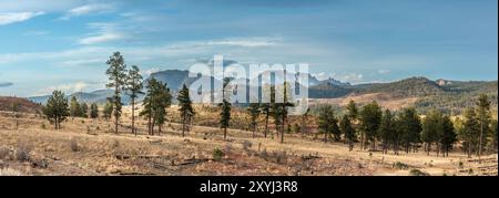 Panoramablick auf den Cascade Chipita Park in Colorado, USA Stockfoto