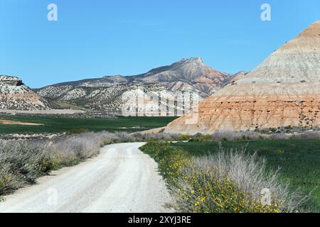 Schotterweg schlängelt sich durch grüne Wiesen und Felsen mit Bergen im Hintergrund, Bardenas Reales Naturpark, Bardena Negra, Pena del Fraile, Pena Stockfoto