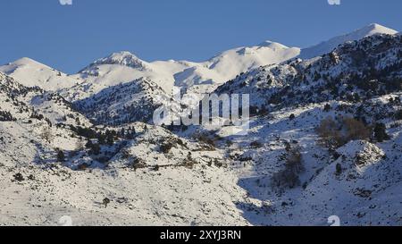 Schneebedeckte Bergkette mit Bäumen unter einem klaren blauen Himmel, Lefka Ori, White Mountains, Bergmassiv, West, Kreta, Griechenland, Europa Stockfoto