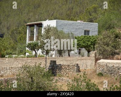 Ein weißes Haus mit Balkon umgeben von Bäumen und Vegetation auf einem Hügel, ibiza, mittelmeer, spanien Stockfoto