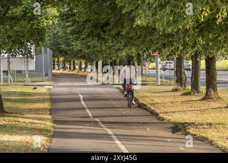 Ein einsamer Radfahrer, der bei tiefem Sonnenuntergang einen Radweg hinunterfährt Stockfoto