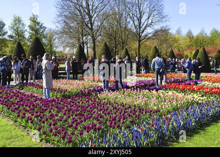 Lisse, Niederlande. April 2023. Besucher des Keukenhof, eines großartigen Frühlingsgartens in den Niederlanden Stockfoto