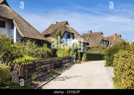 Häuser am Fischland-Darss in Ahrenshoop Stockfoto