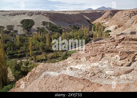 Valle de Jere in der Atacamawüste in Chile Stockfoto