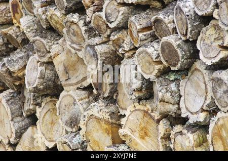 Holzstapel Korkeiche, Holzstapel aus Korkeiche 08 Stockfoto