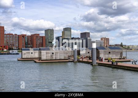 Schwimmende Hotelzimmer, Wikkelboat im Rijnhaven, der Rijnhaven, ein 28 Hektar großes Hafenbecken, wurde nun um fast ein Drittel gefüllt, um Platz zu schaffen Stockfoto