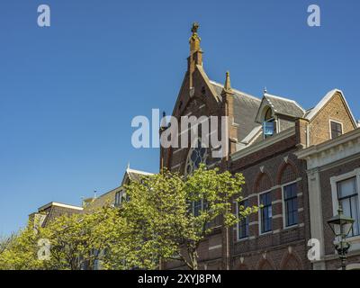 Alte Backsteinkirche mit großen Fenstern und ornamentalen Details, umgeben von grünen Bäumen unter klarem Himmel, alkmaar, niederlande Stockfoto