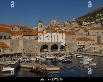 Lebhafter Hafen mit Booten und Menschen vor historischen Gebäuden unter klarem Himmel, dubrovnik, Mittelmeer, Kroatien, Europa Stockfoto