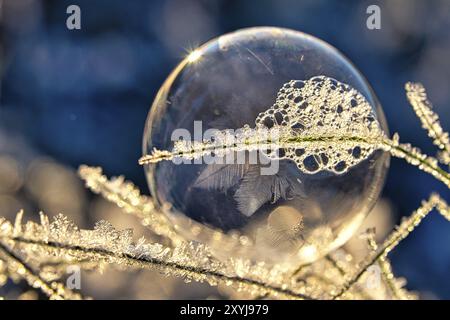 Seifenblase, auf der sich durch den Frost Eiskristalle gebildet haben. Im Licht der untergehenden Sonne. Auf der Seifenblase Due werden filigrane Muster erstellt Stockfoto