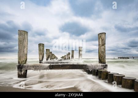 Groyne an der Ostseeküste in Zingst Stockfoto