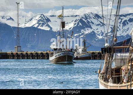 HUSAVIK, ISLAND, 29. JUNI: Walbeobachtungsboot fährt am 29. Juni 2013 in H mit verankerten Segelbooten und Bergen in den Hafen von Husavik ein Stockfoto