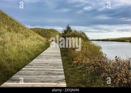 Landschaft mit See auf der Insel Amrum Stockfoto