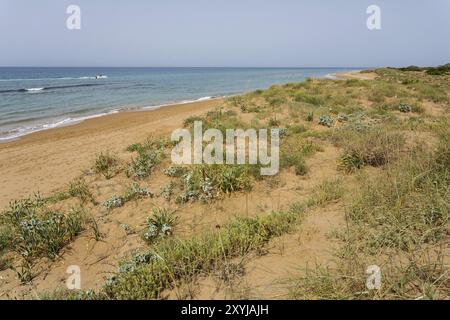 Sanddünen am Chalikouna Beach, Korfu, Griechenland, Europa Stockfoto