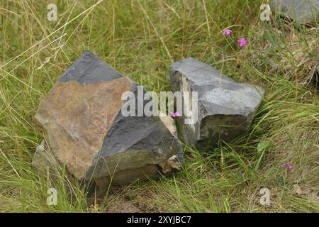 Der Basaltbruch von Zlaty vrch (Goldberg), Tschechische Republik. Basaltgestein. Detail, geologisch. Zlaty vrch Stockfoto