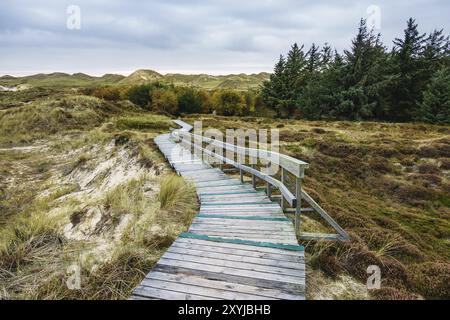 Landschaft in den Dünen auf der Insel Amrum Stockfoto
