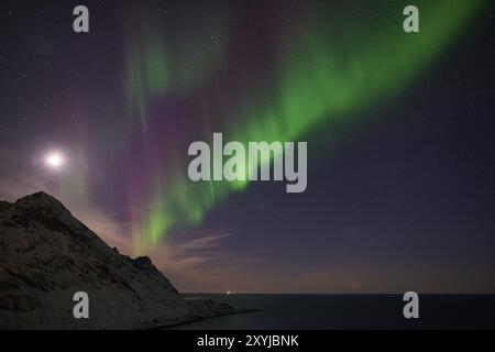 Nordlichter (Aurora borealis), Mefjorden, Senja, Troms Fylke, Norwegen, März 2015, Europa Stockfoto