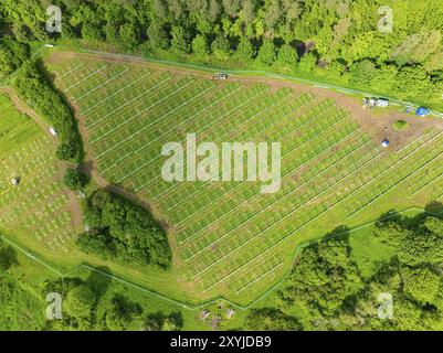 Drohnenbild eines Solarparks im Bau inmitten einer grünen Landschaft, umgeben von Wald und landwirtschaftlich genutztem Land, Bau des Bla Stockfoto