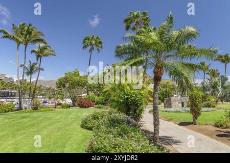 Park in Anfi del Mar, Playa de la Verga, Arguineguin, Gran Canaria, Kanarischen Inseln, Spanien, Anfi del Mar, Playa de la Verga, Gran Canaria, Kanarische Inseln Stockfoto