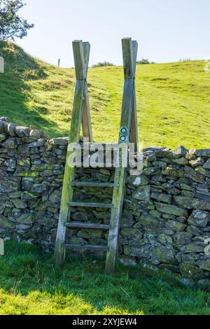 Ein alter Holzstiel über einer traditionellen Trockenmauer auf einem Feld im Lake District National Park in England an einem hellen, sonnigen Sommermorgen. Stockfoto