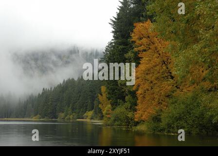 Herbst am grossen Arbersee im Bayerischen Wald bei Bodenmais, Herbst am grossen Arber im Bayerischen Wald bei Bodenmais Stockfoto