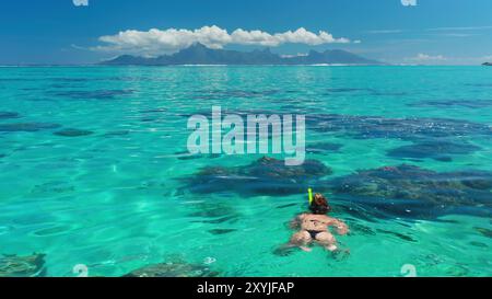 Frau schnorchelt im türkisfarbenen Wasser in der Nähe einer tropischen Insel. Das Wasser ist so klar, dass Sie die Korallenriffe darunter sehen können Stockfoto