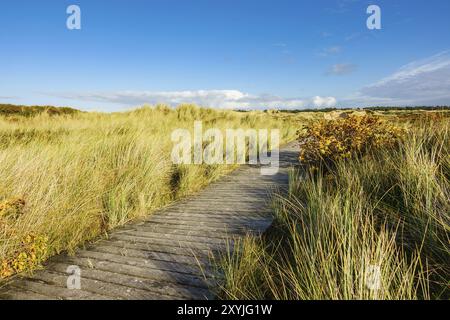 Landschaft in den Dünen auf der Insel Amrum Stockfoto