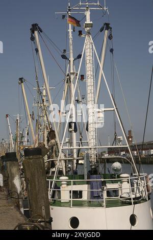 Garnelenboot im alten Fischerhafen von Cuxhaven (Nordsee) Stockfoto