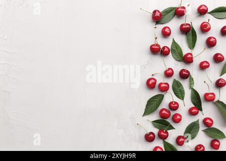 Flache Lay Draufsicht auf grauem Betonhintergrund mit süßen Kirschbeeren und Eiswürfeln. Frische, Sommer konzeptueller minimaler Hintergrund. Öko, Bio-Farm Stockfoto