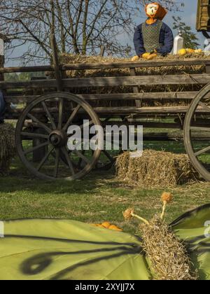 Vogelscheuche auf einem alten Holzwagen mit Heuballen und Kürbissen, im ländlichen Ambiente eines herbstlichen Tages, borken, münsterland, Deutschland, Europa Stockfoto