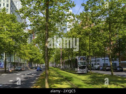 Städtische Begrünung, innerstädtische Straße Laan op Zuid, im Rotterdamer Stadtteil Feijenoord, 4 Fahrspuren, 2 Straßenbahnschienen, Radwege auf beiden Seiten, Gehsteige und p Stockfoto