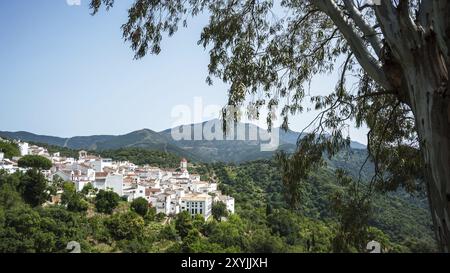 Die weißen Dörfer Andalusien im Korkeichenwald Stockfoto