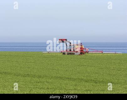 Landwirtschaft Stockfoto