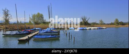 Idyllische Szene am Pfaffikon-See. Segelboote am Ufer des Pfaffikon-Sees. Frühlingstag in Auslikon Stockfoto