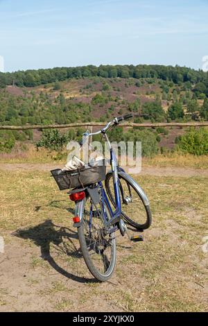 Wacholder (Juniperus communis), Fahrrad, Aussichtspunkt, Totengrund bei Wilsede, Bispingen, Lüneburger Heide, Niedersachsen, Deutschland Stockfoto