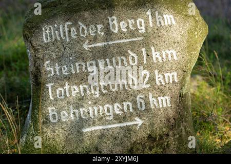 Wegweiser in der Nähe von Wilsede, Bispingen, Lüneburger Heide, Niedersachsen, Deutschland Stockfoto