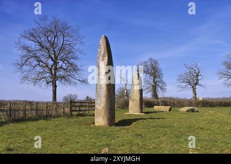 Ausrichtung der Liegen in Frankreich, Menhirs d Epoigny in Frankreich in der Nähe der Liegen Stockfoto
