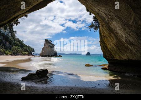 Ein einsamer Blick auf Cathedral Cove und Te HOHO Rock, Coromandel Peninsula, Waikato, Nordinsel, Neuseeland Stockfoto